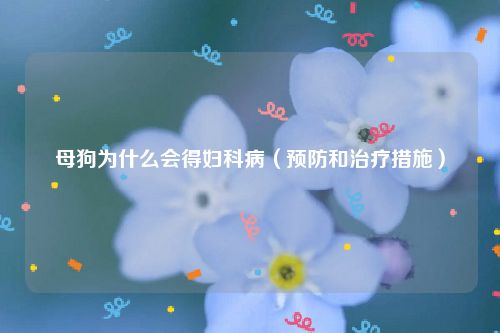 母狗为什么会得妇科病（预防和治疗措施）