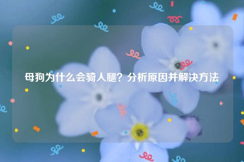 母狗为什么会骑人腿？分析原因并解决方法