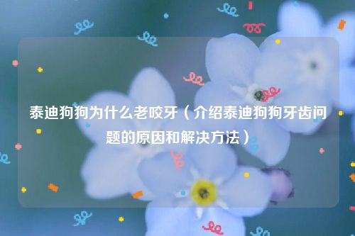 泰迪狗狗为什么老咬牙（介绍泰迪狗狗牙齿问题的原因和解决方法）