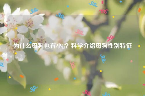 为什么母狗也有小jj？科学介绍母狗性别特征