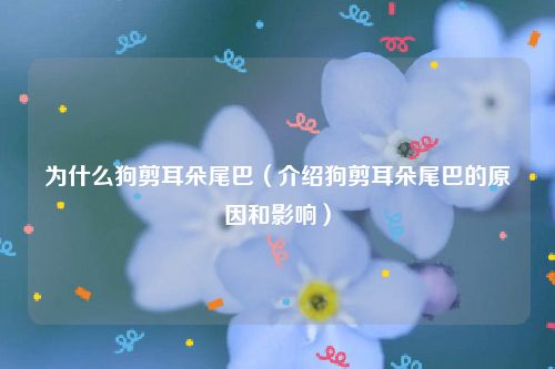 为什么狗剪耳朵尾巴（介绍狗剪耳朵尾巴的原因和影响）