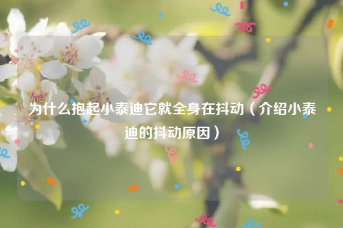 为什么抱起小泰迪它就全身在抖动（介绍小泰迪的抖动原因）