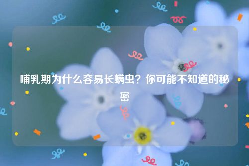 哺乳期为什么容易长螨虫？你可能不知道的秘密