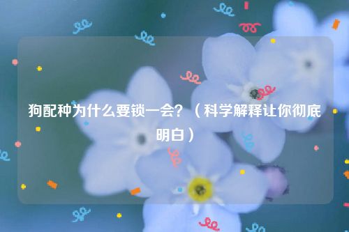 狗配种为什么要锁一会？（科学解释让你彻底明白）