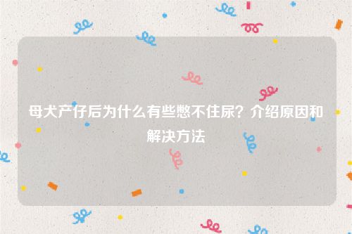 母犬产仔后为什么有些憋不住尿？介绍原因和解决方法