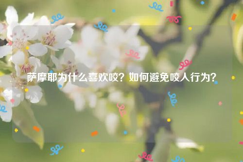 萨摩耶为什么喜欢咬？如何避免咬人行为？