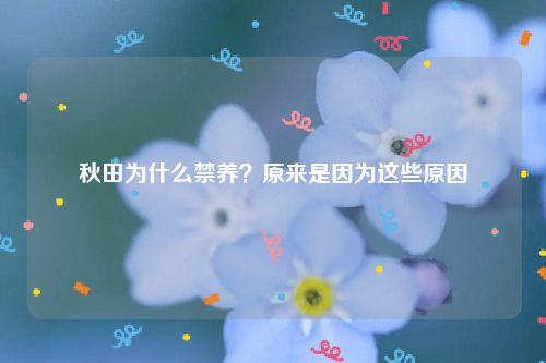 秋田为什么禁养？原来是因为这些原因