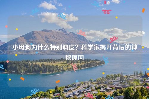 小母狗为什么特别调皮？科学家揭开背后的神秘原因