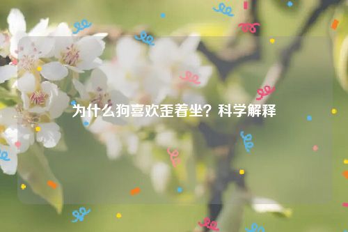 为什么狗喜欢歪着坐？科学解释