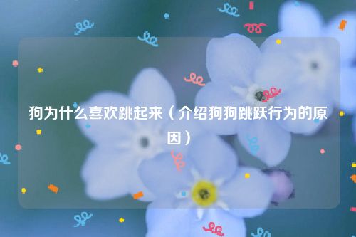 狗为什么喜欢跳起来（介绍狗狗跳跃行为的原因）