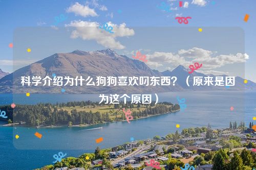 科学介绍为什么狗狗喜欢叼东西？（原来是因为这个原因）