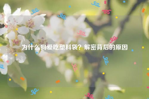 为什么狗爱吃塑料袋？解密背后的原因