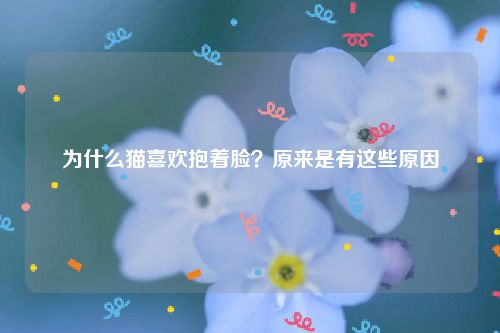 为什么猫喜欢抱着脸？原来是有这些原因