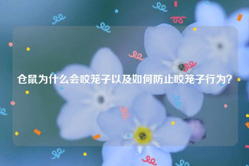 仓鼠为什么会咬笼子以及如何防止咬笼子行为？