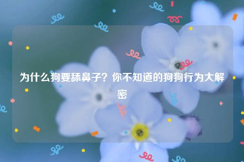 为什么狗要舔鼻子？你不知道的狗狗行为大解密